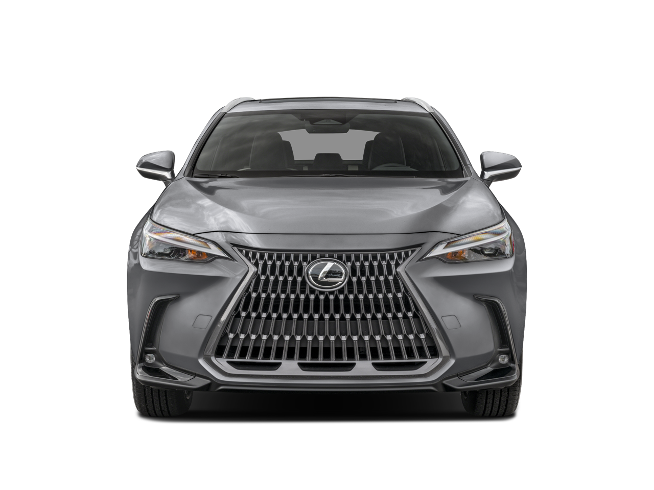 2025 Lexus NX 350h Premium photo 3