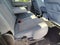 2016 Ford F-350SD XLT DRW
