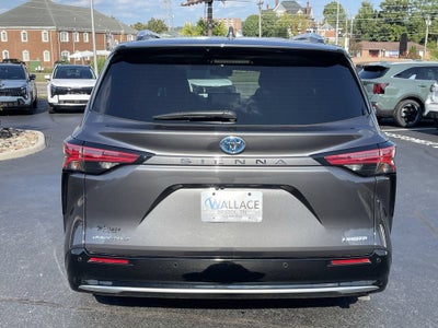 2025 Toyota Sienna Limited 7 Passenger