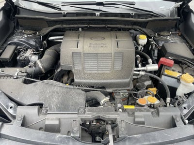 2025 Subaru Forester Wilderness