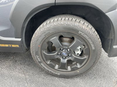 2025 Subaru Forester Wilderness