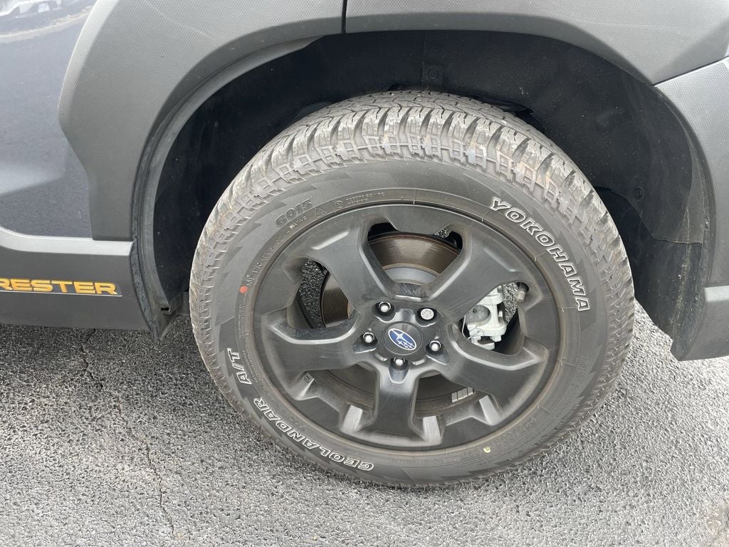 2025 Subaru Forester Wilderness