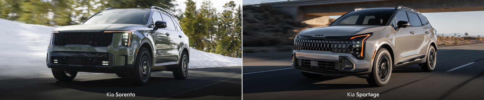 kia sportage vs kia sorento