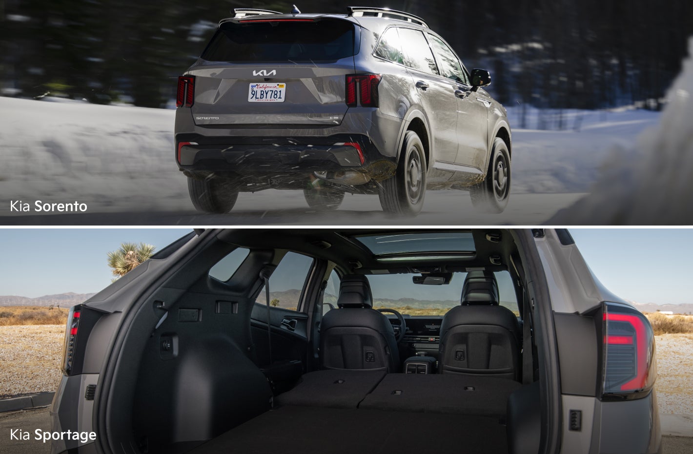 Kia Sportage vs. Kia Sorento Cargo Space